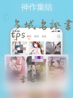 多域名证书https