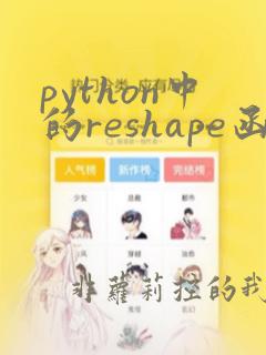 python中的reshape函数