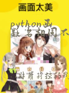 python函数名相同不同参数