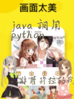 java 调用python