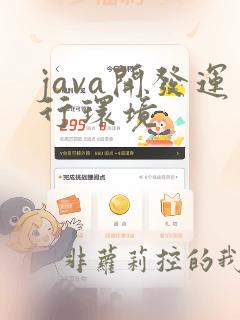 java开发运行环境
