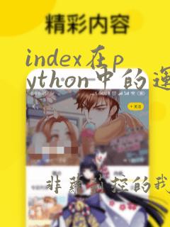 index在python中的运用