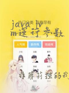 java jvm运行参数