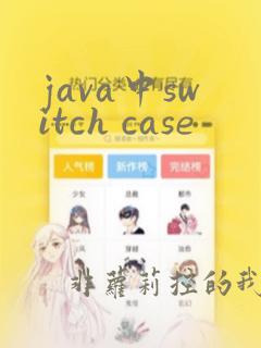 java中switch case