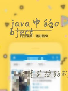 java中的object