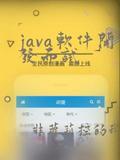java软件开发面试
