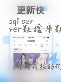 sql server数据库数据类型