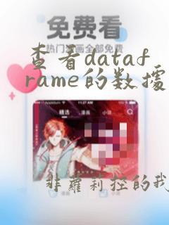 查看dataframe的数据类型