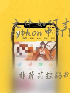 文件如何才能在python中打开文件