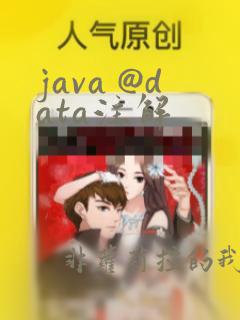 java @data注解