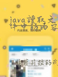 java读取文件中的内容