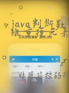 java判断数组重复元素