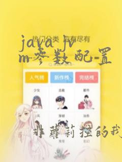 java jvm参数配置