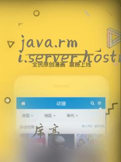 java.rmi.server.hostname