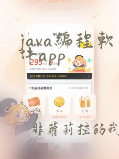 java编程软件app
