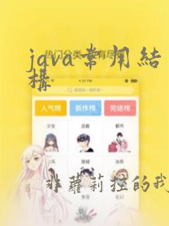java常用结构