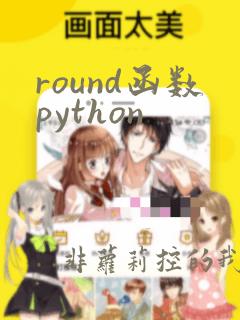 round函数python