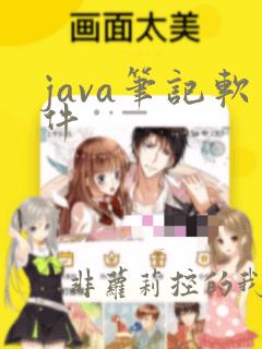 java笔记软件