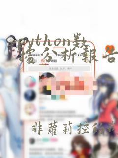 python数据分析报告