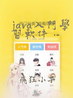 java入门学习软件