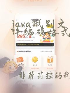java识别文件编码格式