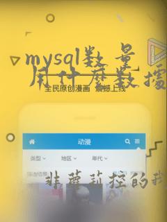 mysql数量用什么数据类型