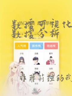 数据可视化销售数据分析