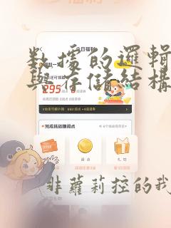 数据的逻辑结构与存储结构的关系