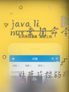 java linux常用命令