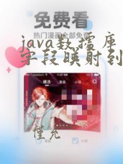 java数据库字段映射到实体类