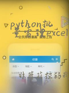python批量处理excel