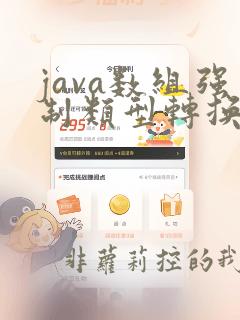 java数组强制类型转换