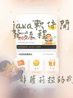 java软件开发流程