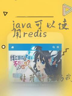 java可以使用redis