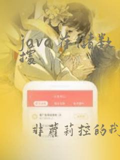 java存储数据