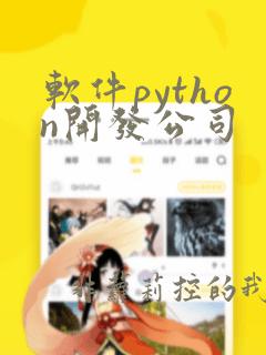 软件python开发公司