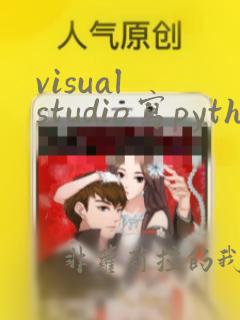visual studio写python