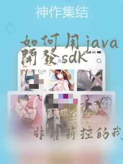 如何用java开发sdk