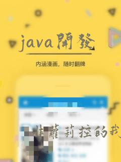 java开发