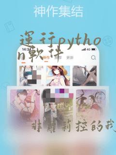 运行python软件