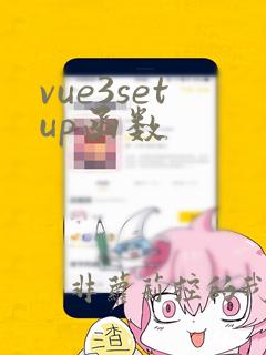 vue3setup函数