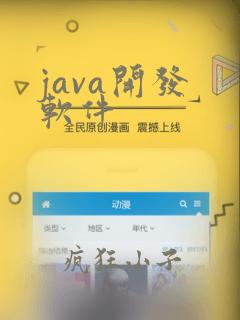 java开发 软件