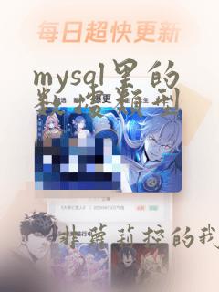 mysql里的数据类型