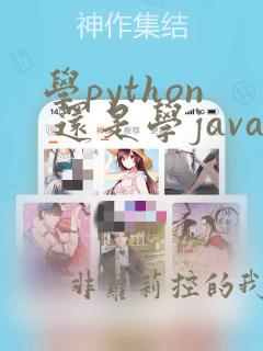 学python 还是学java