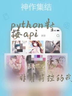 python对接api