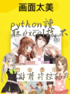 python读取excel找不到文件