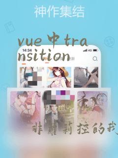 vue中transition