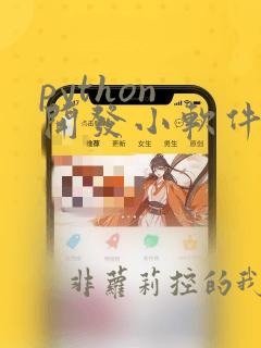 python 开发小软件