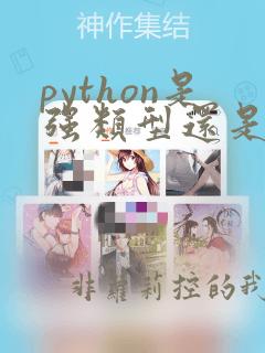 python是强类型还是弱类型