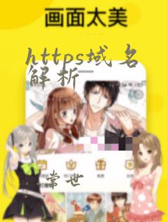 https域名解析